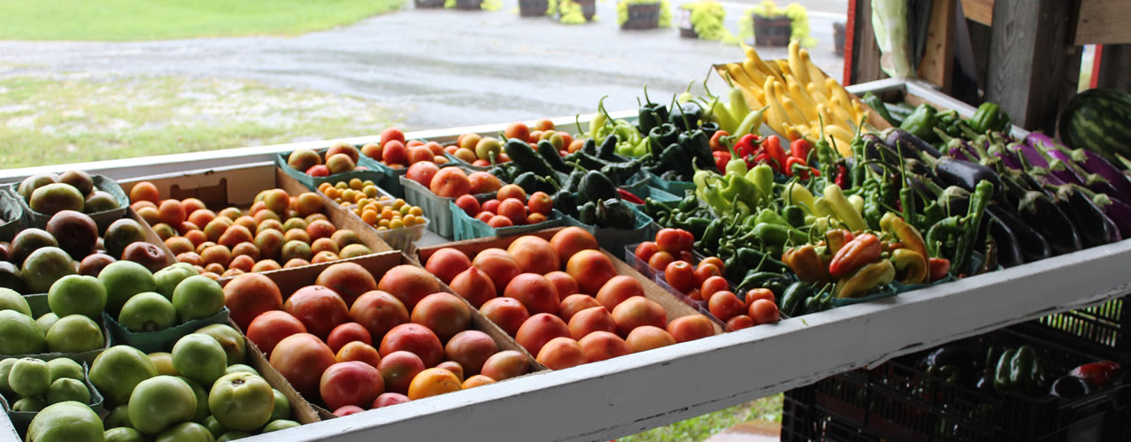 Clark’s Roadside Farm Produce Stand laid out