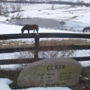 Never Sell The Land - set in stone