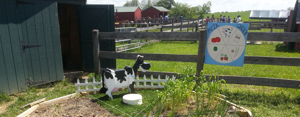 Farm laid out for learning