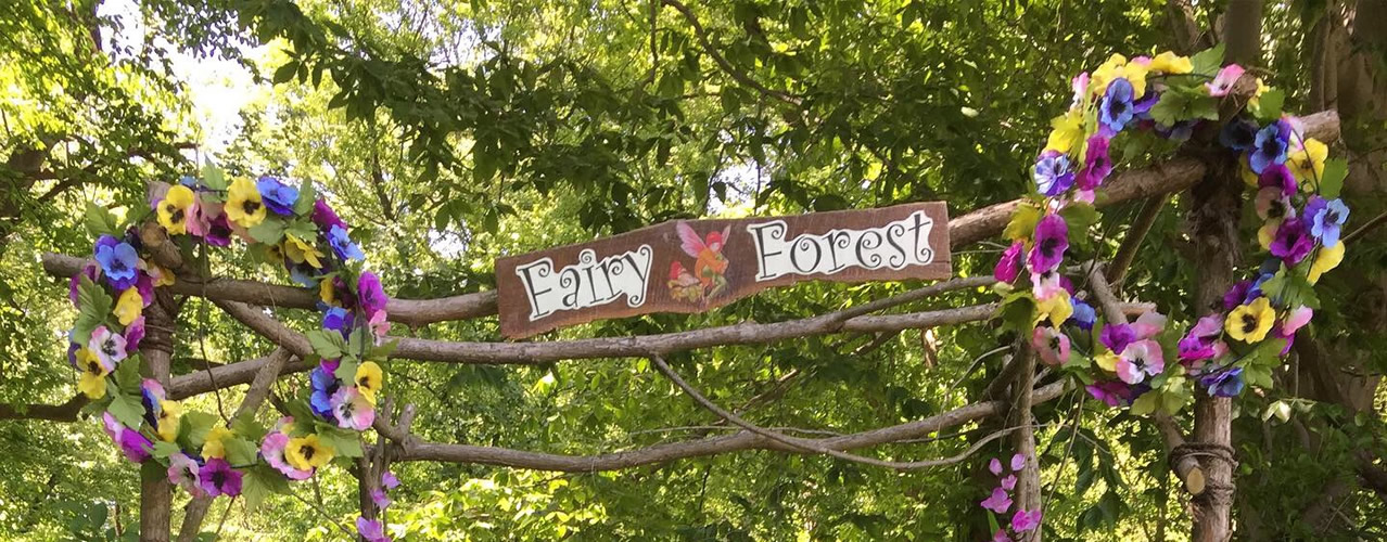 Fairy Forest Entrance