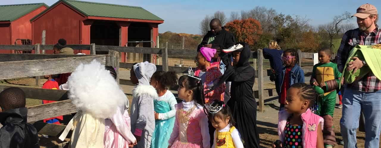 Halloween Parade at the farm