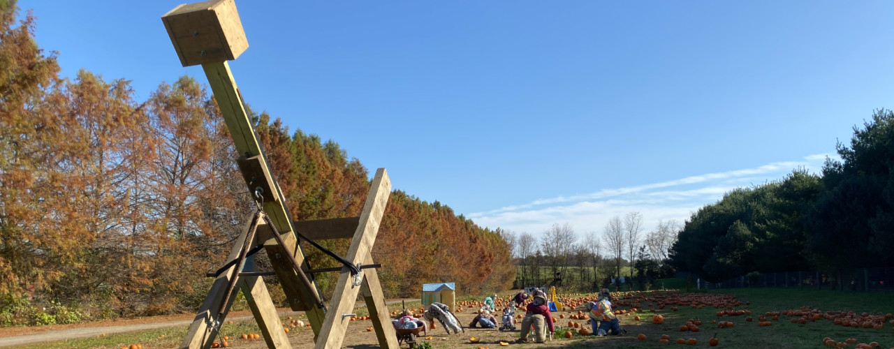 Pumpkin Chucking at Clarks Farm