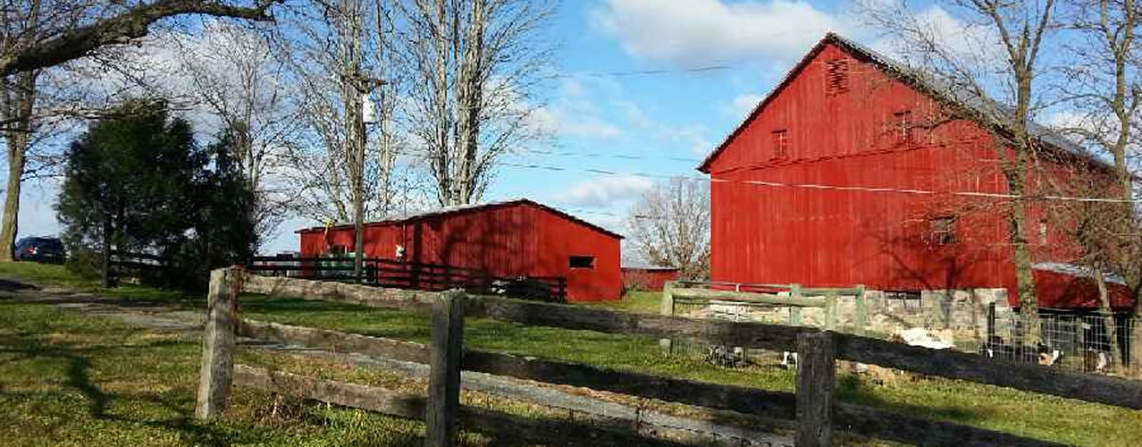 Red barns on Clark's Farm
