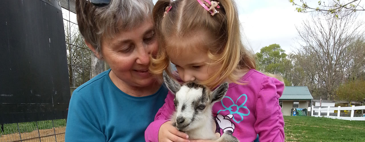 Petting goat at Clarks Farm